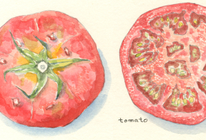 Section Part4 トマトの輪切り