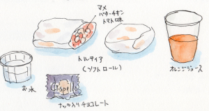 夏休みの宿題・・・絵日記・・・再び翼の上に