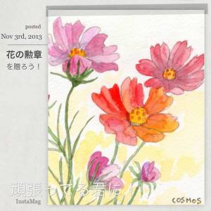 頑張ってる君に花の勲章をお贈りします。