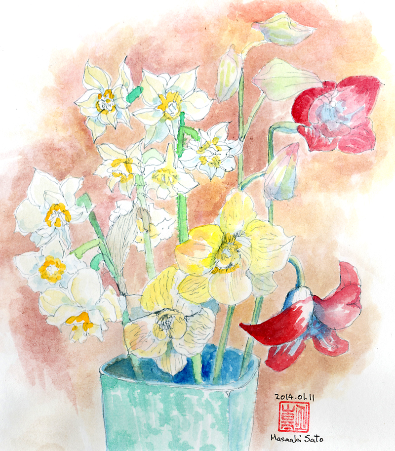 冬の華
