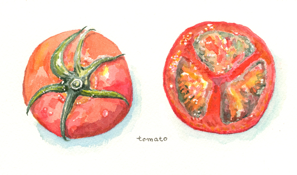 晩夏のトマト